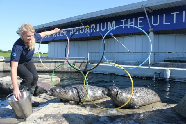  Grandes cosas para ver. 