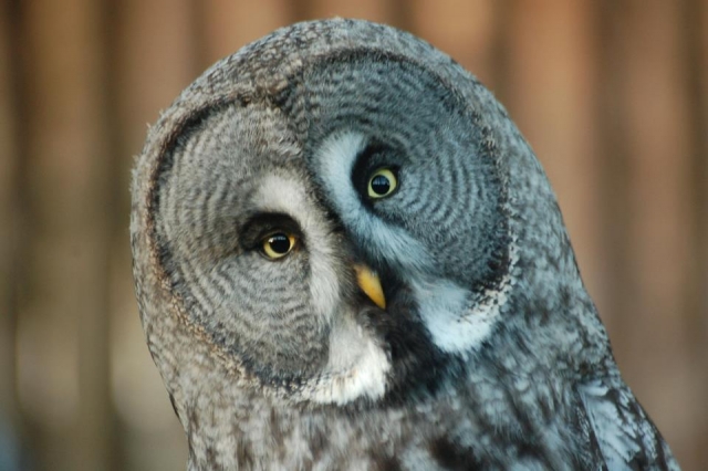  Un gran lugar para venir. 