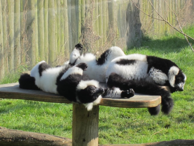  Disfruta de un gran día. 