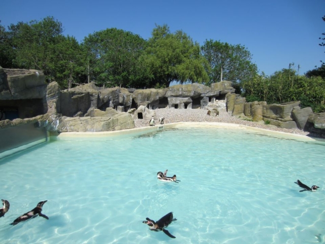  Diversión para todos. 