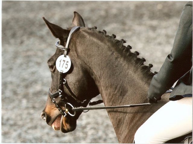 Un gran club al que unirse.