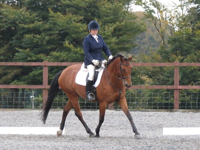 Doma abierta en West Somerset Riding Club.