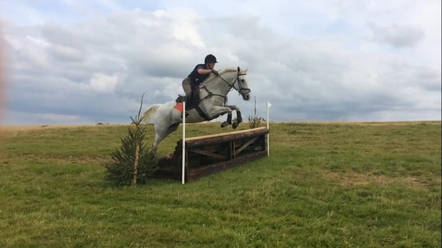 Saltos en West Somerset Riding Club.