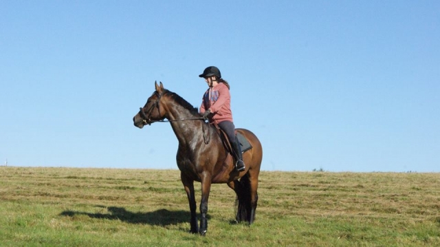 Doma abierta en West Somerset Riding Club.