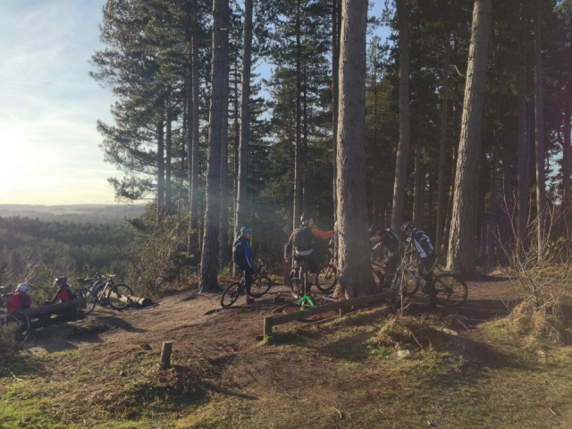  Una gran actividad para todas las edades. 