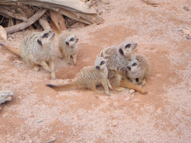  Un día divertido para toda la familia. 