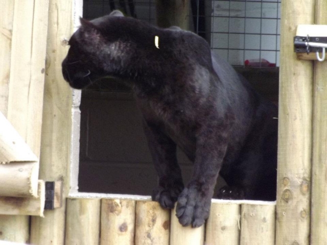  Muchas cosas nueva por descubrir. 