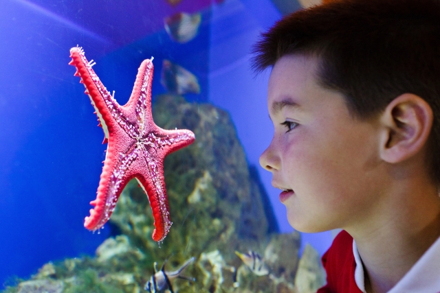 Un gran lugar para venir. 