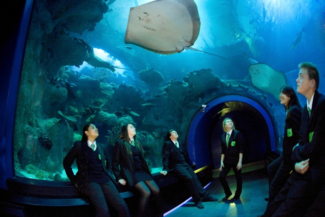  Disfruta del gran túnel. 