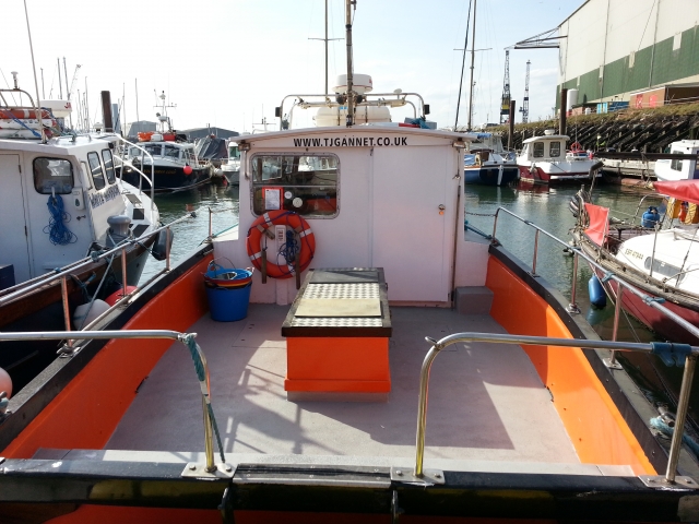  TJ Gannet en su nacimiento 