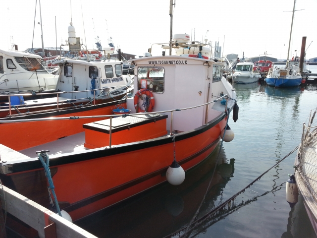  TJ Gannet en su nacimiento 