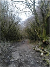  Una gran actividad para hacer. 