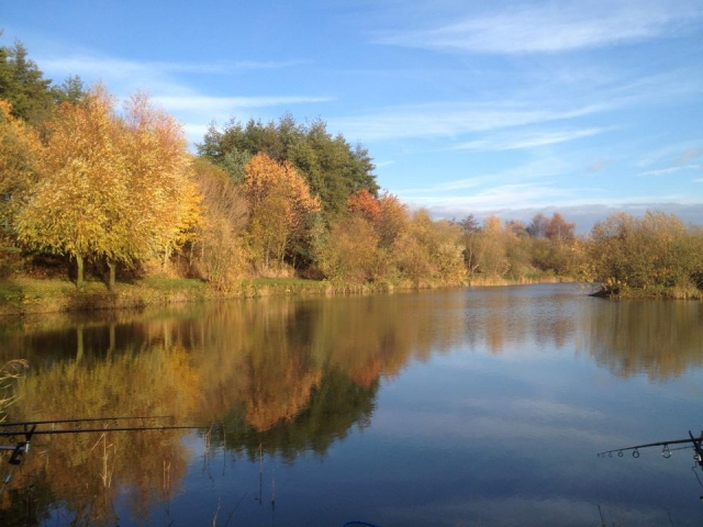 La pesca es relajanle. 