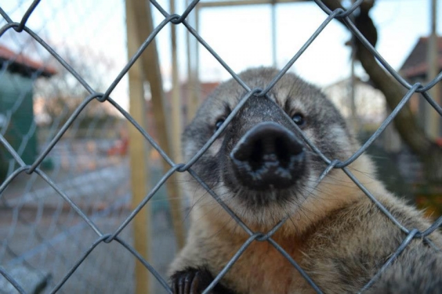  Diviértele con tus amigos. 
