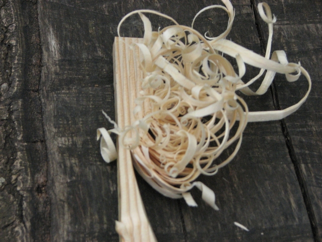  Consigue un nuevo talento.