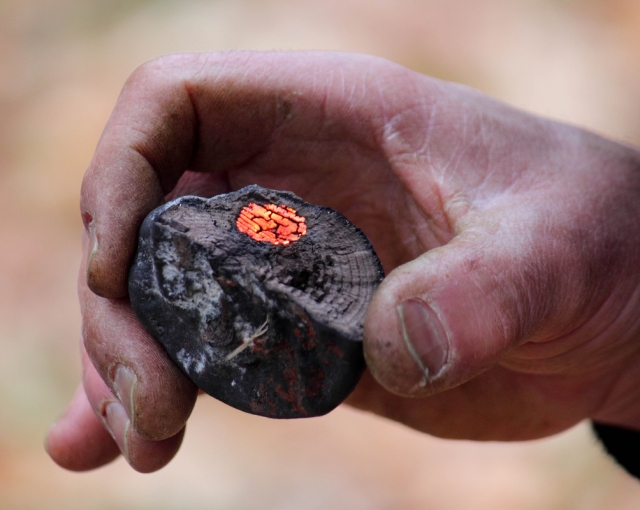  Aprenda algunas habilidades geniales. 