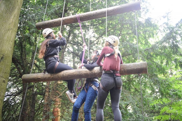  Una gran actividad para hacer 