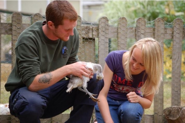  Aprenda algunas cosas nueva. 