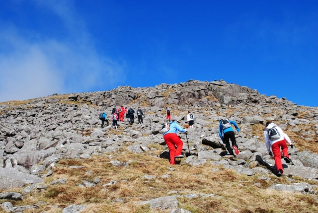  El camicrema es muy divertido. 