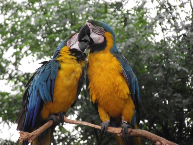  Un gran lugar para visitar. 