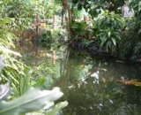  Un gran lugar para venir. 