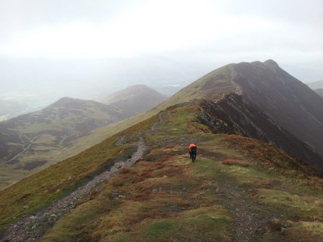  Una gran actividad para hacer. 