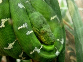 Un gran lugar para venir. 