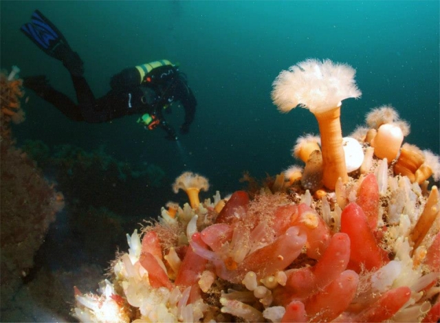  Mucho por descubrir. 