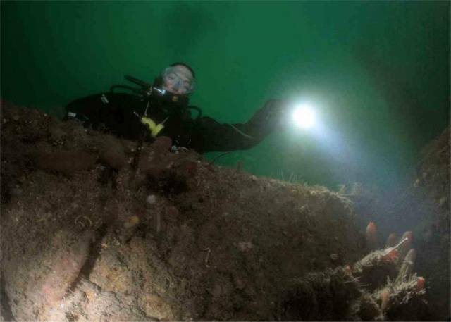  Descubre un mundo nuevo. 