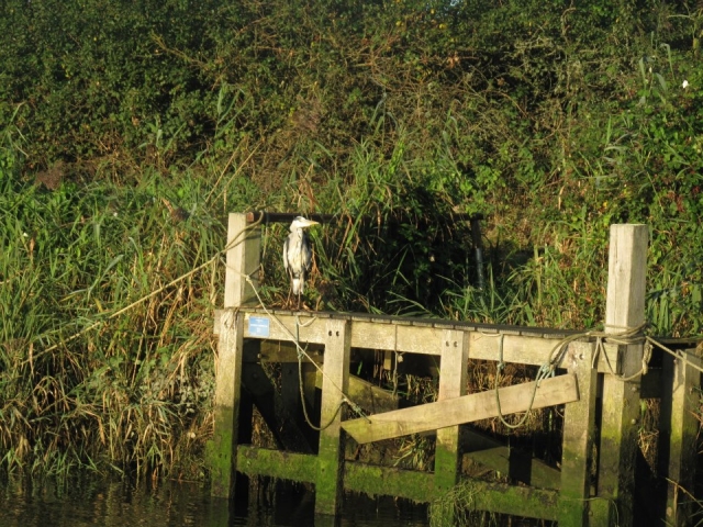  Grandes cosas para ver. 