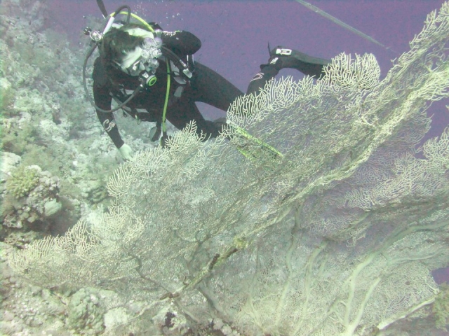  Una gran actividad para hacer. 