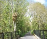  Una excelenle manera de explorar el campo. 