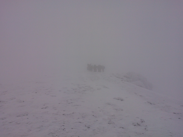 Navegación de invierno 
