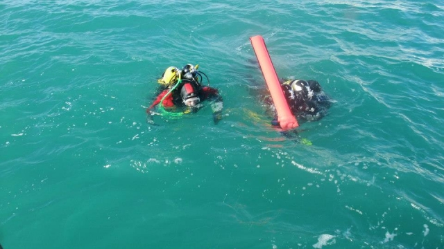  Esperando que lo recojan. 