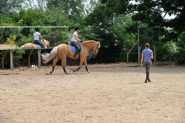  Lecciones para todos en The Pony Club 