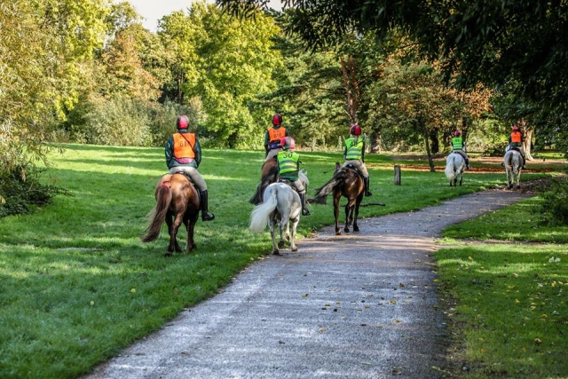  Hacking en The Pony Club 