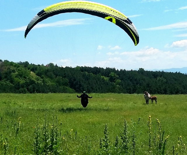  ¡hermoso aterrizaje! 
