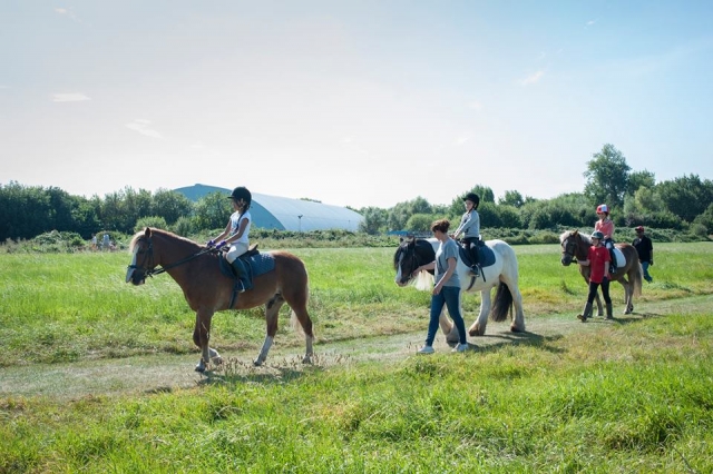  Subir a caballo con tus amigos.