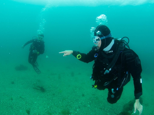  Buceo en Cornualles