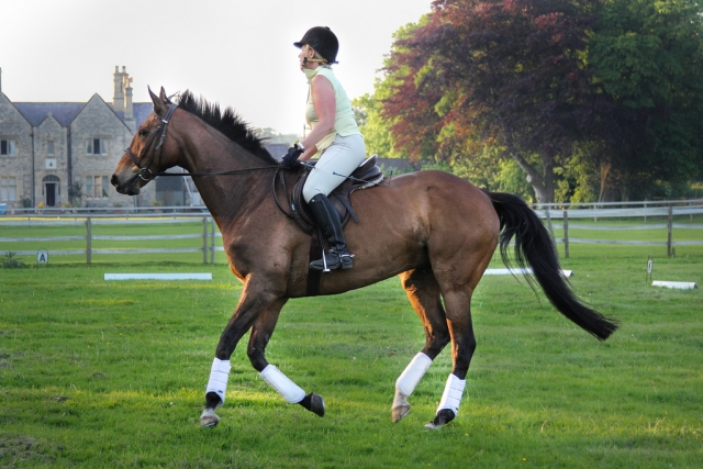  Práctica en Lion Royal Hotel, Pony Trekking & Motorcycle Trail Riding Center 