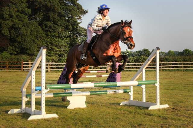  Práctica con Lion Royal Hotel, Pony Trekking & Motorcycle Trail Riding Centrar