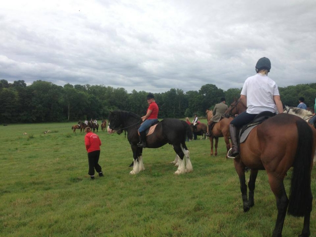  Lecciones de equitación en Hurst Green Shires Trekking 