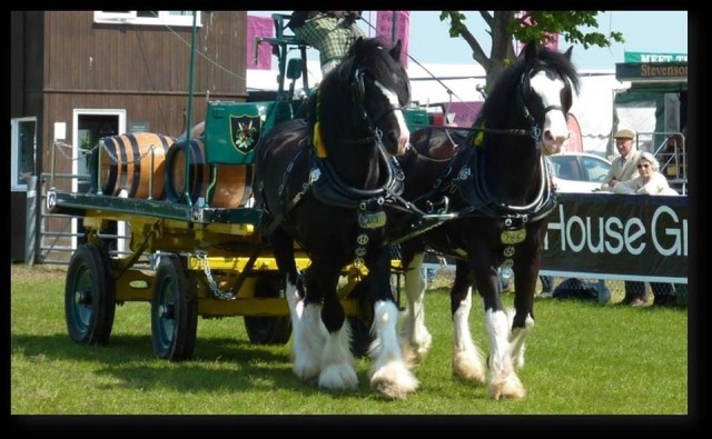  Manejar en Hurst Green Shires Trekking 