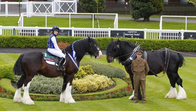  Subir en Hurst Green Shires Trekking 