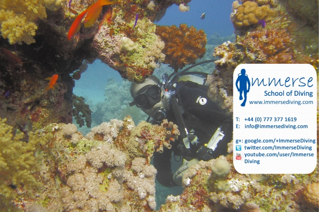  Sumergir Escuela de Buceo