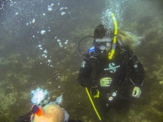 C-Waves Diving