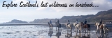 Knoydart Pony Trekking