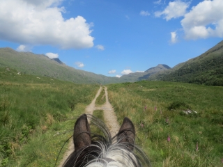 Knoydart Pony Trekking