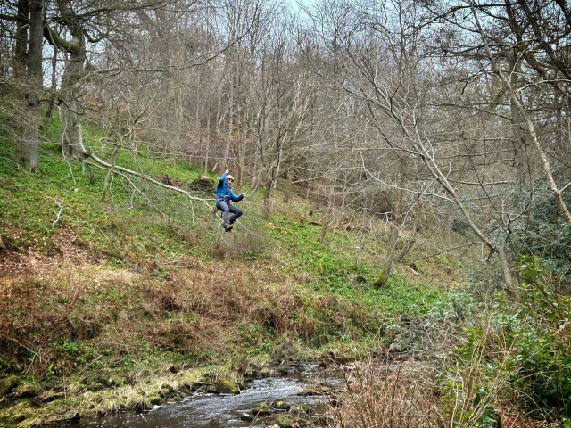 Sobre el departamento del bosque 