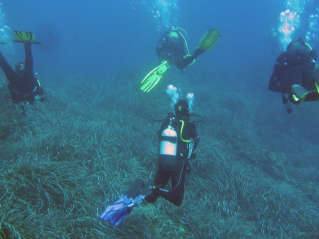  Trabajar con la genle de alrededor 